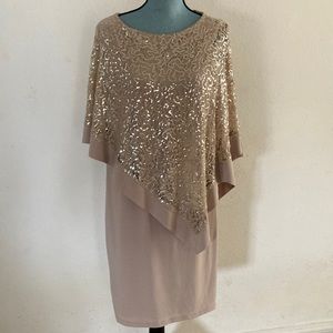 R & M Richard Lace Sequin Overlay Dress